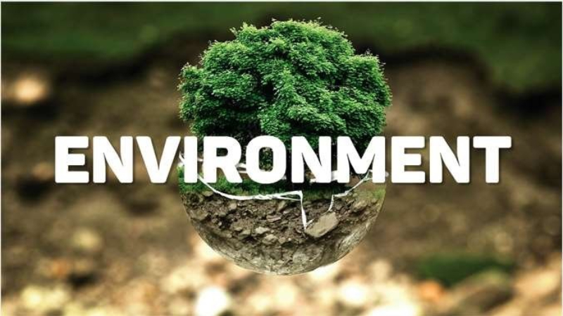 Environment có nghĩa là môi trường